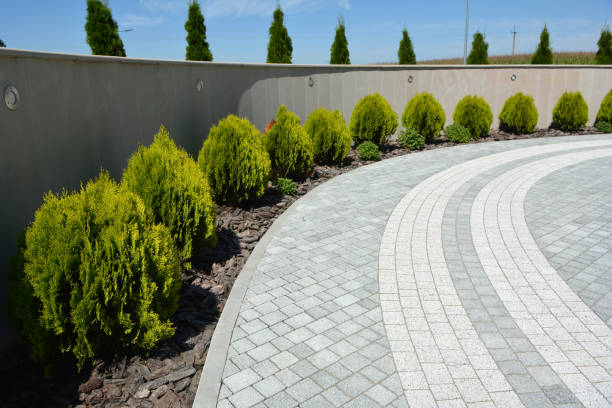 Best Affordable Driveway Pavers  in Forrest, IL